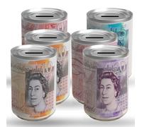 SHARRLA Money Tin Box, Seal Queen Piggy Bank Un-openable Coin Organizer Funding Box Saved Coins Notes for Birthday, Holiday & Christmas Eve - Kids and Adults Use (6Pcs Medum Random)