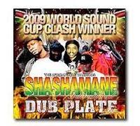 Shashamane Internati - Shashamane Dub Plate Mixxx