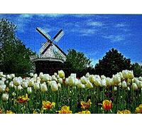 SHATCHI 1000 Piece Jigsaw Puzzle Landscapes/Cities/Natures for Kids Adults Grownups Birthday Christmas Learning Educational Toy Gifts, Multicolor