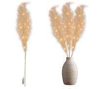 Shatchi 100Cm Prelit Champagne Pampas Grass Warm White Leds Battery-Operated Christmas Artificial Flowers Decorations
