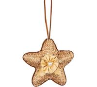 Shatchi 12Cm Gold Star - Christmas Hanging Decoration