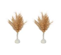SHATCHI 2Pcs - 70cm Champagne Feather Tree Table Lamp Warm White LEDs Lighted Pampas Tree - Battery-Operated Decorative Night Light for Christmas, Home, Events, Holiday Decorations