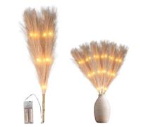 Shatchi 45cm Prelit Pampas Grass Warm White LEDs Battery-Operated Christmas Artificial Flowers for Boho Room Decorations in Gold Shatchi Gold