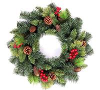 55cm Various Tips Green Christmas Wreath Frosted Tips Shatchi Green One Size
