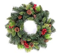 55cm Various Tips Green Christmas Wreath Frosted Tips Shatchi Green One Size
