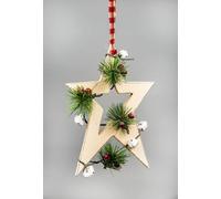 Shatchi Wooden Hanging Decoration Star Shape Cream 18X1.2X26 Cm