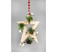 SHATCHI 26cm Cream Wooden Star Wall Hanging Ornament Decorated with White Bells Berries and Pines Christmas Holiday Home Decorations, 18x1.2x26 cm