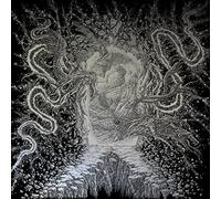 Shattering Light's Creation (Vinyl) Tyrannosorceress (US IMPORT)