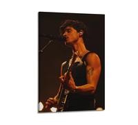 Shawn Posters Canvas Cover Wall Art Print Aesthetic Poster Modern Art Painting for Living Room 20x30inch(50x75cm) Frame-style