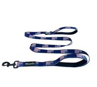 ShawnCo Dream Walk Dog Leash- Premium, Nylon Pet Leash with Soft Neoprene Handle for Small, Medium and Large Dogs (USA Flag, M/L 6FT w/ 2 Handles)