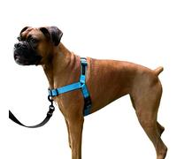 ShawnCo Dream Walk No-Pull Dog Harness- Adjustable, Comfortable, Easy to Use Pet Halter to Help Stop Pulling for Small, Medium and Large Dogs (Oceanic Blue, M)