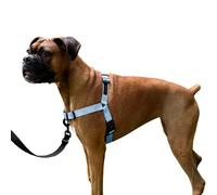 ShawnCo Dream Walk No-Pull Dog Harness- Adjustable, Comfortable, Easy to Use Pet Halter to Help Stop Pulling for Small, Medium and Large Dogs (Moonglow, L)