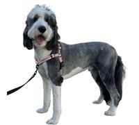 ShawnCo Dream Walk Pro Dog Harness- No-Pull, Comfortable, Adjustable, Easy to Use Pet Halter to Help Stop Pulling for Small, Medium and Large Dogs (Rose Gold, Small)