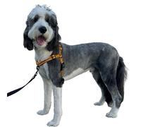 ShawnCo Dream Walk Pro Dog Harness- No-Pull, Comfortable, Adjustable, Easy to Use Pet Halter to Help Stop Pulling for Small, Medium and Large Dogs (Sunset Orange, Large)