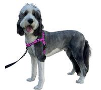 ShawnCo Dream Walk Pro Dog Harness- No-Pull, Comfortable, Adjustable, Easy to Use Pet Halter to Help Stop Pulling for Small, Medium and Large Dogs (Orchid, Large)