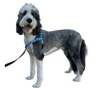 ShawnCo Dream Walk Pro Dog Harness- No-Pull, Comfortable, Adjustable, Easy to Use Pet Halter to Help Stop Pulling for Small, Medium and Large Dogs (Oceanic Blue, Large)