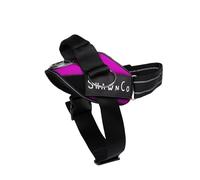 ShawnCo Essential Pro Dog Harness, No-Pull Pet Vest with 3 Leash Clips and Removable Side Patches, Adjustable Padded Harness for Small Medium Large Dogs