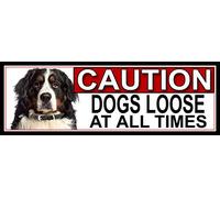 SHAWPRINT Bernese Mountain Dog CAUTION DOGS LOOSE AT ALL TIMES METAL GATE SIGN 266mm x 87m. (566H2)