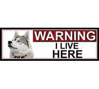 SHAWPRINT Siberian Husky WARNING I LIVE HERE METAL GATE SIGN 266mm x 87mm. (1011H2)