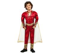 Shazam Boys Costume Superhero Fancy Dress Outfit DC Comics Book Day