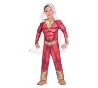 Shazam Kids Boys Costume Hooded World Book Day Size 3-4,6-8,8-10,10-12