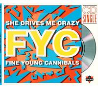 She drives me crazy (3" in 5"-case, 1989)