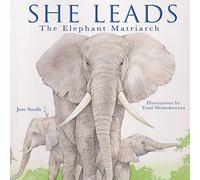 She Leads: The Elephant Matriarch