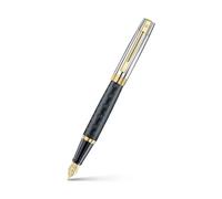 Sheaffer 300 Fountain Pen | E9347 Engraved Matt Black Barrel and Shiny Chrome Cap with PVD Gold Trims | Fine Nib | Premium Fountain Pen