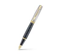 Sheaffer 300 Fountain Pen | E9347 Engraved Matt Black Barrel and Shiny Chrome Cap with PVD Gold Trims | Medium Nib | Premium Fountain Pen