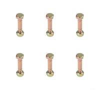 Shear Bolt and Nut Set for Ariens 52100100 PRO Snow Blowers Designed for 26 28 32 66 Inch Model Variants (6pcs)