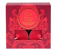 Shearer Candles Cranberry & Ginger Scented Tealights, Red, 8 x 3.8 x 8 cm