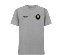 Shearer & Sutton Logo Men's T-Shirt - Gray / 3XL