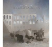 The Great Awakening