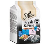 Sheba Fresh Choice Cat Pouches Fish Collection in Gravy 6x 50g