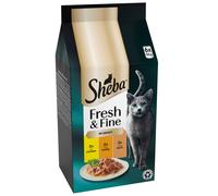 SHEBA Fresh & Fine Cat Pouches with Chicken & Turkey in Gravy 6x50g