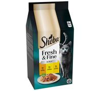 SHEBA Fresh & Fine Cat Pouches with Chicken & Turkey in Jelly 6x50g