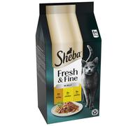 Sheba Fresh & Fine in Jelly Mini Pouches Saver Pack 12 x 50g - Tuna, Salmon & Whitefish in Jelly
