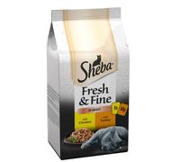 Sheba Pch Fresh & Fine Ch&Tk CIG 8x6x50g