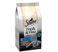 Sheba Pch Fresh & Fine Tn&Cd CIG 8x6x50g