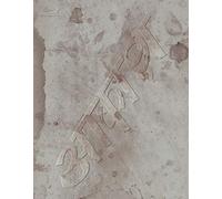 Sheena Ringo & The Others Dwell: The Air Pocket Zone Blu-ray (JP) 2018