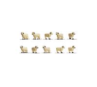 Sheep (10)