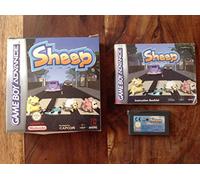 Sheep