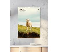 Sheep 2026 Calendar, A3, Wirobound, Full Colour