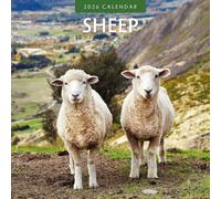 Sheep - 2026 Square Wall Calendar - by Red Robin Publishing