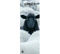 Sheep 2026 Wall Calendar, 12-Month Slim Format, Made in England