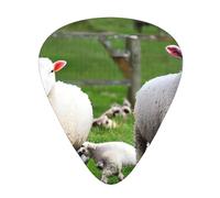 Sheep And Lambs Acoustic Guitar Picks - Premium Guitar Plectrum For Bass And Electric Guitar