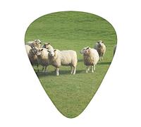 Sheep and Lambs Guitar Picks 12 Pack Set Guitar Gift for Bass Picks Acoustic Guitars Plectrums with Clear Storage Box
