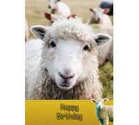 Sheep Birthday Card