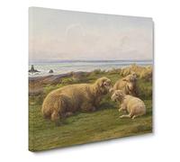 Sheep By The Sea by Rosa Bonheur Canvas Print | Gallery Wrapped 30mm Frame Wall Art | 20x20 inches | Ready to Hang | Coastal Animals Picture | Living Room Bedroom Lounge Office