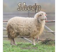 Sheep Calendar 2026: 12 month Organizer Jan 2026 to Dec 2026